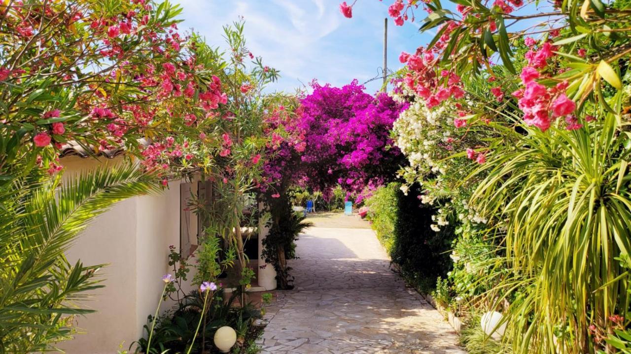 Villa Provencale A Sainte Maxime, Golf De Saint Tropez Exterior foto